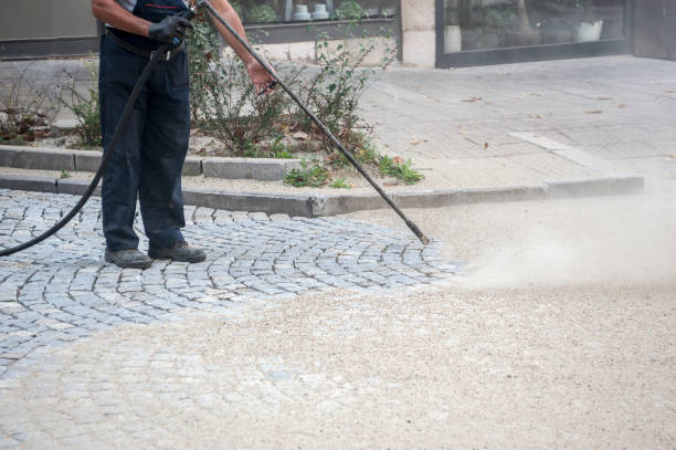 Best Building Exterior Washing  in Williamsville, NY